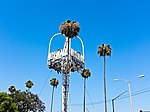 Norwalk Town Square Shopping Center sign in Norwalk California